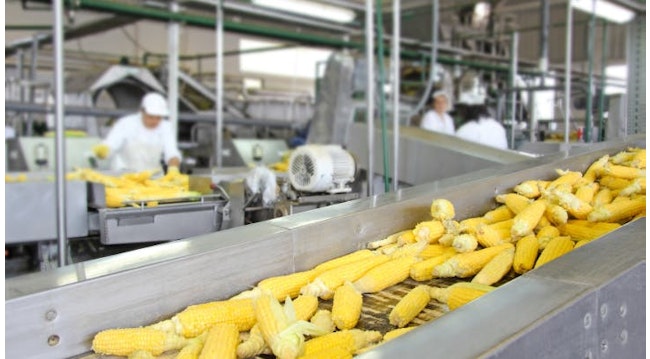 Figure 1: Food processing is an example of an industry that deploys rigorous methods to clean equipment--all of which are tough on lighting products.