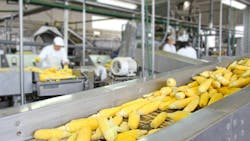 Figure 1: Food processing is an example of an industry that deploys rigorous methods to clean equipment--all of which are tough on lighting products. Figure 1: Food processing is an example of an industry that deploys rigorous methods to clean equipment--all of which are tough on lighting products.