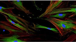 65f090911c840b001ea6b637 Screenshot 20240312 At 1 65f090911c840b001ea6b637 Screenshot 20240312 At 1