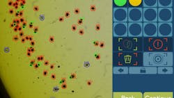 Figure 1: Using machine vision and AI, SnappArt automates the process of quantifying and assessing live feed used in hatcheries, such as the Rotifer pictured here. Figure 1: Using machine vision and AI, SnappArt automates the process of quantifying and assessing live feed used in hatcheries, such as the Rotifer pictured here.