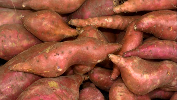 Figure 1: Researchers built a real-time online quality grading system for sweet potatoes, which achieved an overall accuracy of 91.7% in assigning potatoes to one of four quality categories.