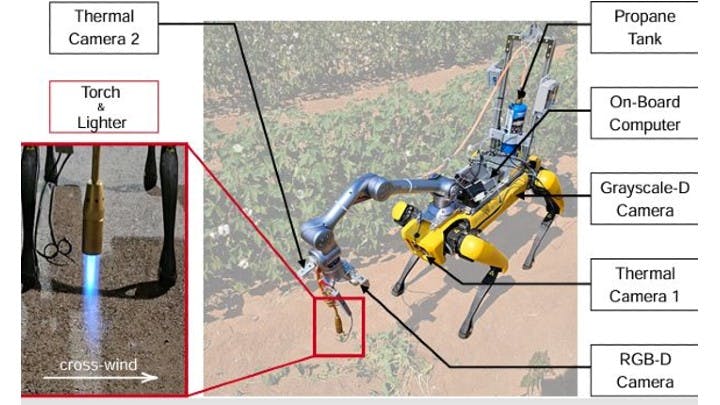 Figure 1: Researchers from Texas A&M University created a robotic weeding system using heat from a flamethrower. The system incudes one RGB-D camera and two thermal cameras.