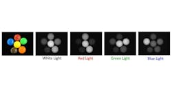 Figure 1: While red LED lights were the most popular wavelengths to use early on, the true advantage of LEDs is the ability to choose the wavelength that creates the optimal contrast for a given application. Figure 1: While red LED lights were the most popular wavelengths to use early on, the true advantage of LEDs is the ability to choose the wavelength that creates the optimal contrast for a given application.