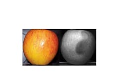 Figure 3: SWIR imaging is great for moisture identification because of water’s SWIR absorption, which is useful in fruit inspection. This makes moisture visible that would be otherwise very difficult to identify. Figure 3: SWIR imaging is great for moisture identification because of water’s SWIR absorption, which is useful in fruit inspection. This makes moisture visible that would be otherwise very difficult to identify.