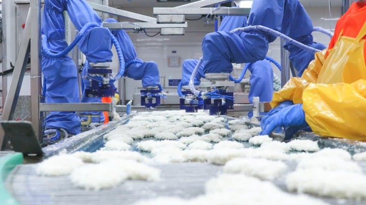 Figure 1: The robot shapes the delicate fish into uniform fillets.