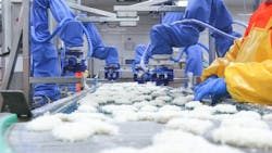 Figure 1: The robot shapes the delicate fish into uniform fillets. Figure 1: The robot shapes the delicate fish into uniform fillets.