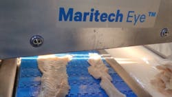 Figure 1: The researchers used an inspection system that included a Maritech Eye to detect parasites in cod fillets. Figure 1: The researchers used an inspection system that included a Maritech Eye to detect parasites in cod fillets.