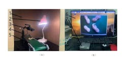 Figure 1: The image acquisition setup included: 1) box enclosure 2) light source 3) webcam 4) camera mount 5) conveyor 6) operating platform 7) Raspberry Pi Figure 1: The image acquisition setup included: 1) box enclosure 2) light source 3) webcam 4) camera mount 5) conveyor 6) operating platform 7) Raspberry Pi