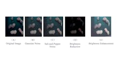 Figure 2: The researchers used a variety of methods to expand the number of images as well as the quality of the images. Figure 2: The researchers used a variety of methods to expand the number of images as well as the quality of the images.