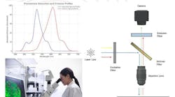 Fluorescence Microscopy Decoded: From Fluorophores to Optical Filters Fluorescence Microscopy Decoded: From Fluorophores to Optical Filters