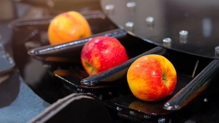 Figure 1: Deep learning helps automate complex automation processes such as inspecting and sorting fruit.