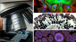 Objective Lenses Objective Lenses