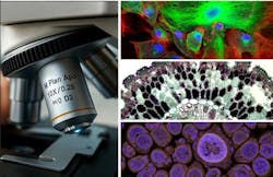 Objective Lenses Objective Lenses