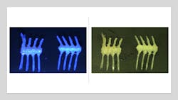 Figure 3: Image of fish bones under a 285 nm LED illuminator (left), compared with RGB image under ambient light (right). Figure 3: Image of fish bones under a 285 nm LED illuminator (left), compared with RGB image under ambient light (right).