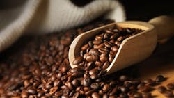 Figure 4: Coffee beans reflect more light as the caffeine concentration decreases. Figure 4: Coffee beans reflect more light as the caffeine concentration decreases.