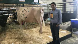 Dr. Lau and his bovine buddy at the World Dairy Expo.